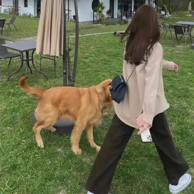 将军的农家妻